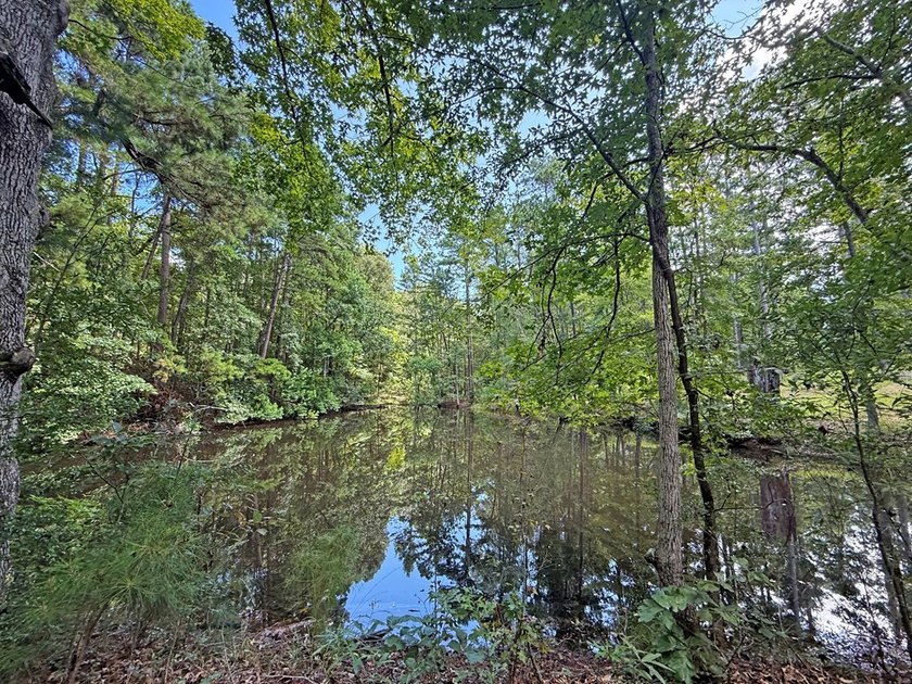 Beautiful 24.5 acre tract offering privacy and convenience just - photo 15