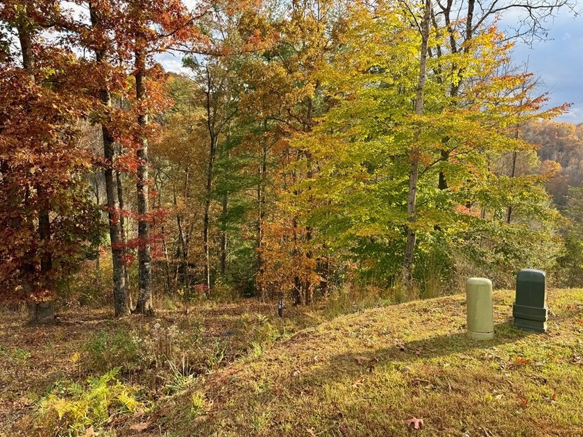 Build your mountain retreat in the highly sought-after Cullowhee - photo 5