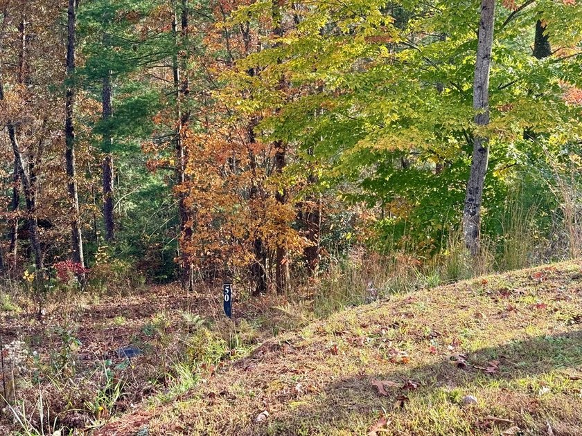 Build your mountain retreat in the highly sought-after Cullowhee - photo 6