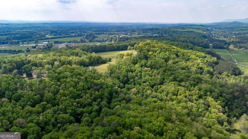 38 +/- Acres with Mountain Views &amp; Multiple Building Sites - photo 2