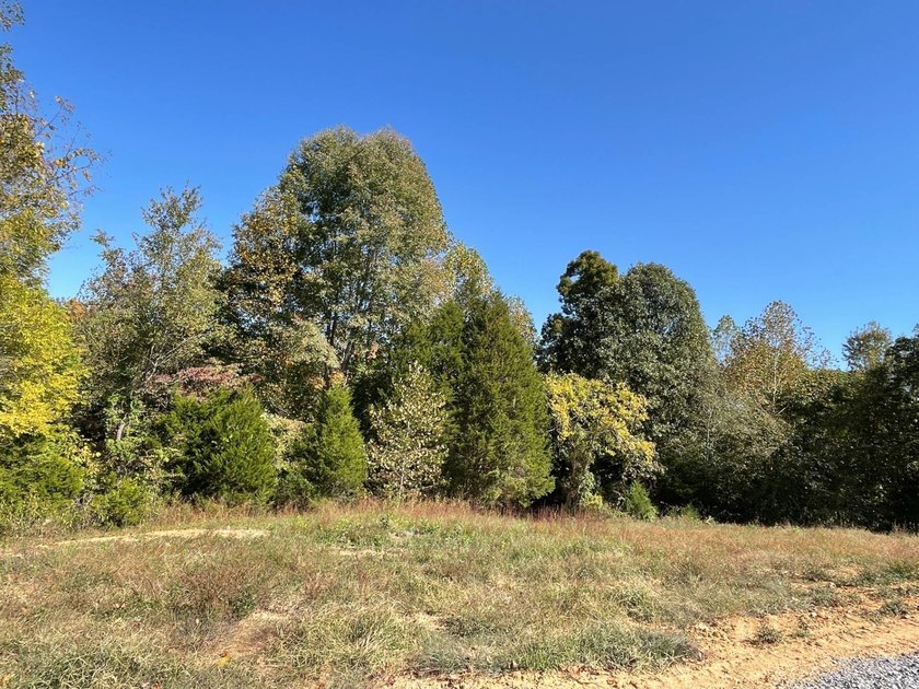 This property consists of 2.495 acres with some cleared - photo 3