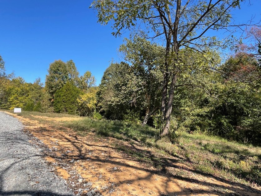 This property consists of 2.495 acres with some cleared - photo 4