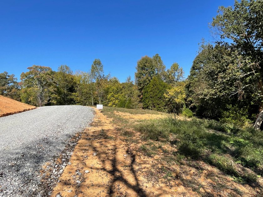 This property consists of 2.495 acres with some cleared - photo 5