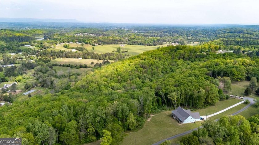 38 +/- Acres with Mountain Views &amp; Multiple Building Sites - photo 6