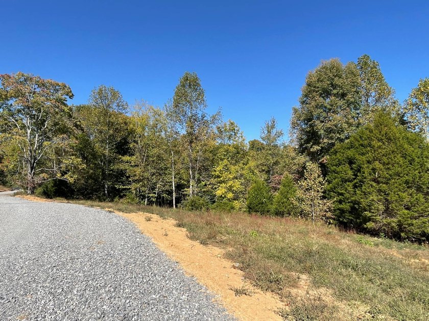 This property consists of 2.495 acres with some cleared - photo 6