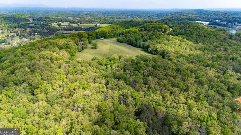 38 +/- Acres with Mountain Views &amp; Multiple Building Sites - photo 7