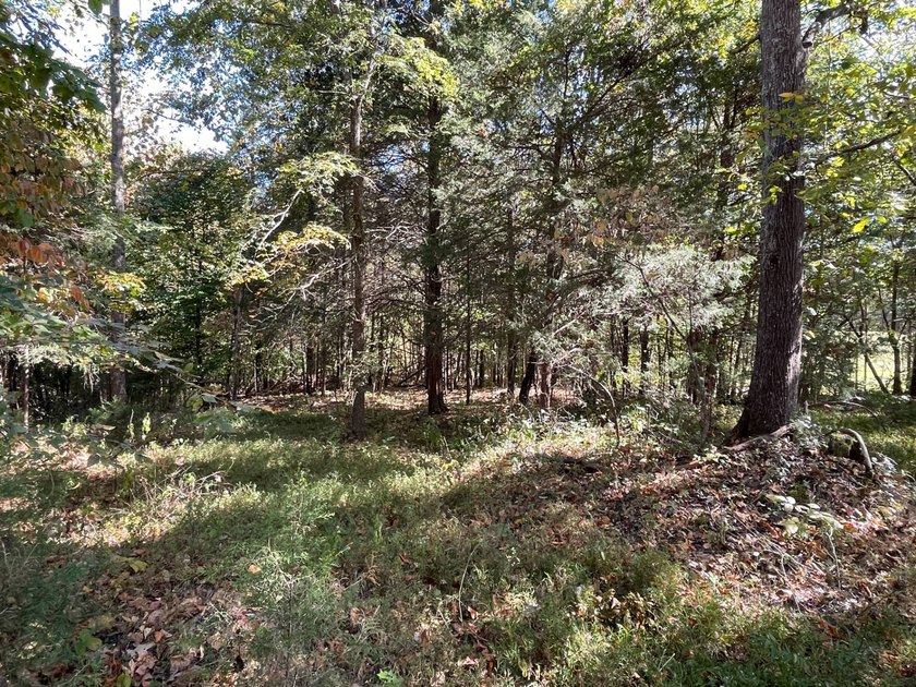 This property consists of 2.495 acres with some cleared - photo 7