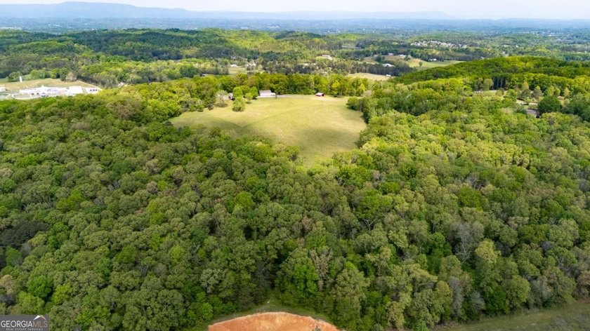 38 +/- Acres with Mountain Views &amp; Multiple Building Sites - photo 8