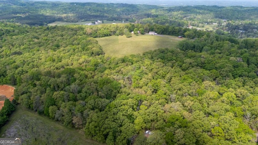 38 +/- Acres with Mountain Views &amp; Multiple Building Sites - photo 9