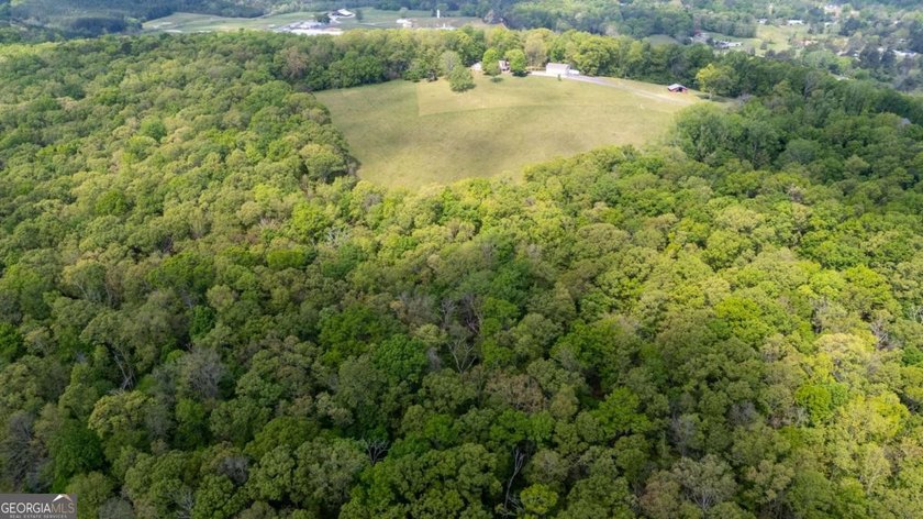 38 +/- Acres with Mountain Views &amp; Multiple Building Sites - photo 10