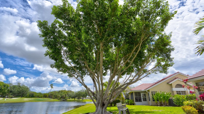 Beautifully Remodeled 2 Bedroom / 2 Bathroom Villa in - photo 11