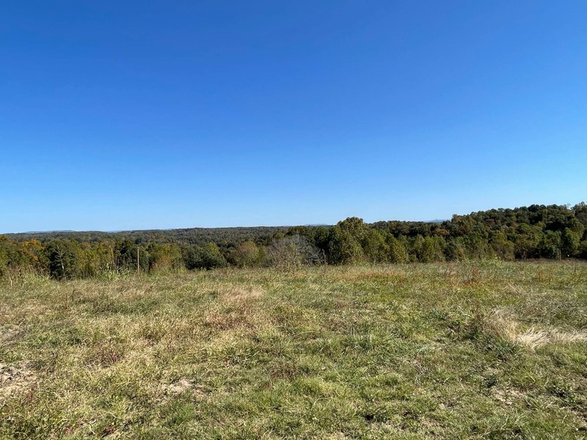 Take a look at this view! This 3.515-acre property, per new - photo 3