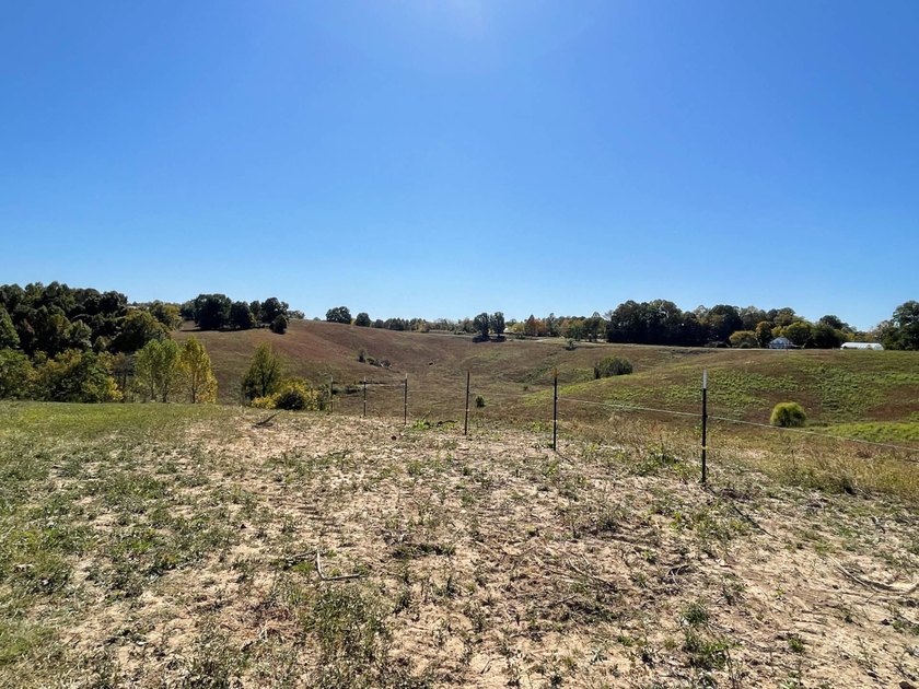 Take a look at this view! This 3.515-acre property, per new - photo 4