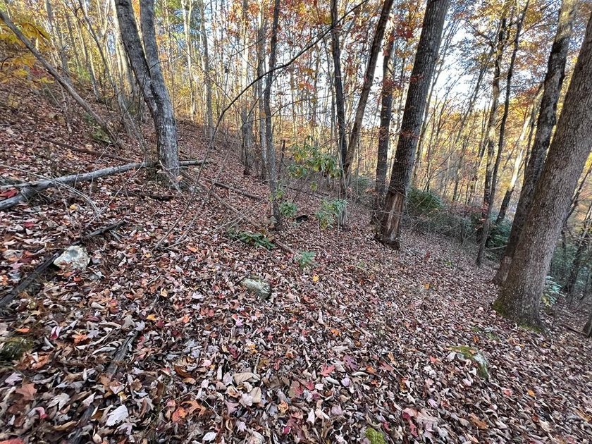 Possible views in this lot that is located in Fontana View, a - photo 9