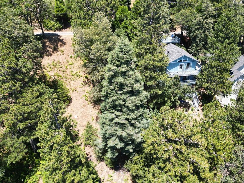 21543 Peak Cir - photo 4