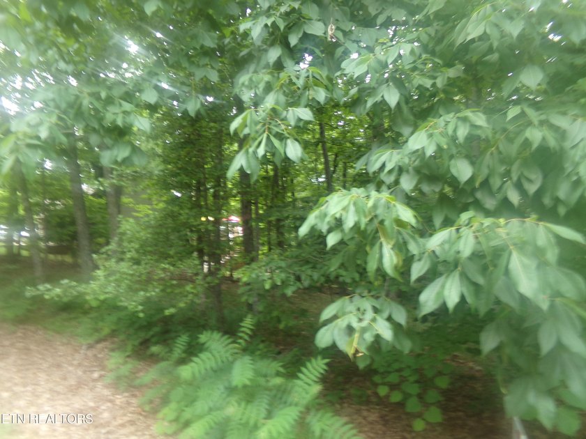 Fairfield Glade Building Lot! A-2 developed lot with Paved Road - photo 2