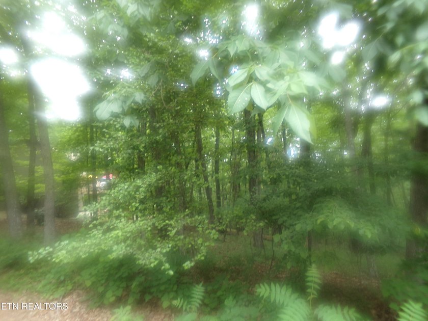 Fairfield Glade Building Lot! A-2 developed lot with Paved Road - photo 3