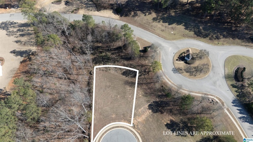 Be among the first to build on this quiet cul-de-sac street in - photo 4