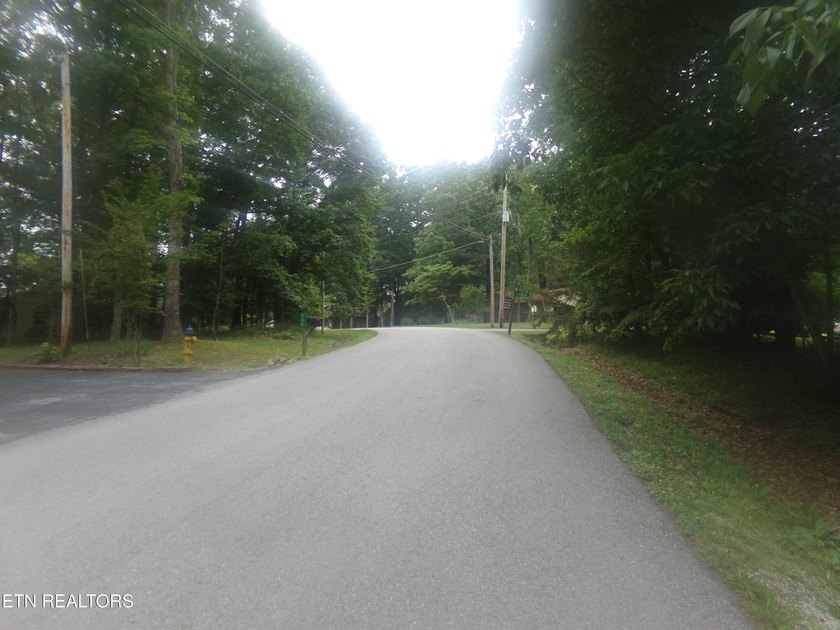 Fairfield Glade Building Lot! A-2 developed lot with Paved Road - photo 5