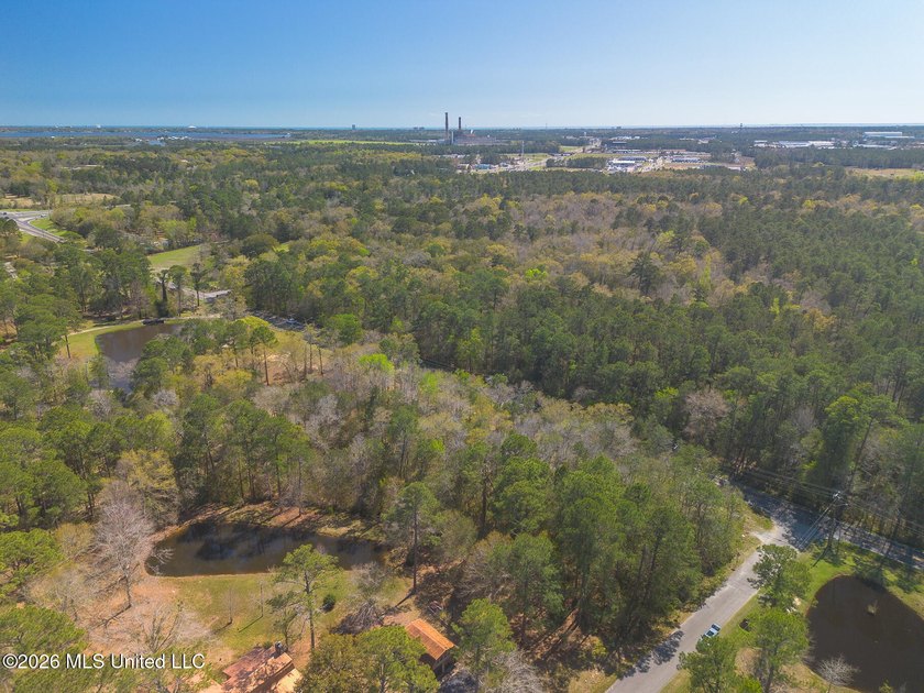 This 1.4 acre Rebekah subdivision property is at the corner of - photo 2