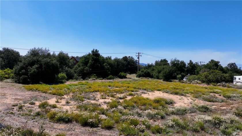 34561 S Main Divide - photo 13