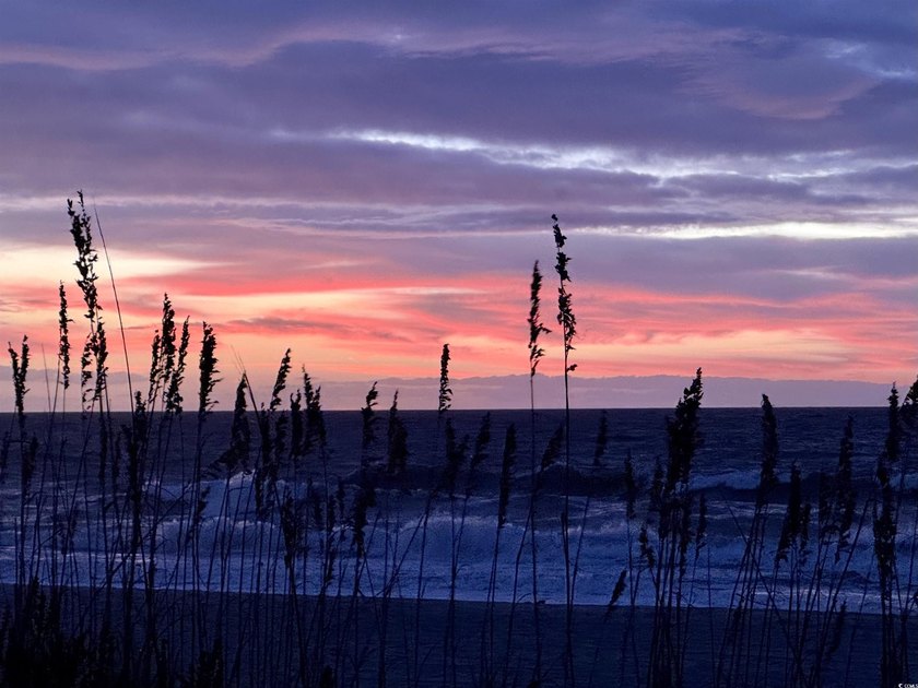 Discover your perfect beachside escape! This move-in ready - photo 29