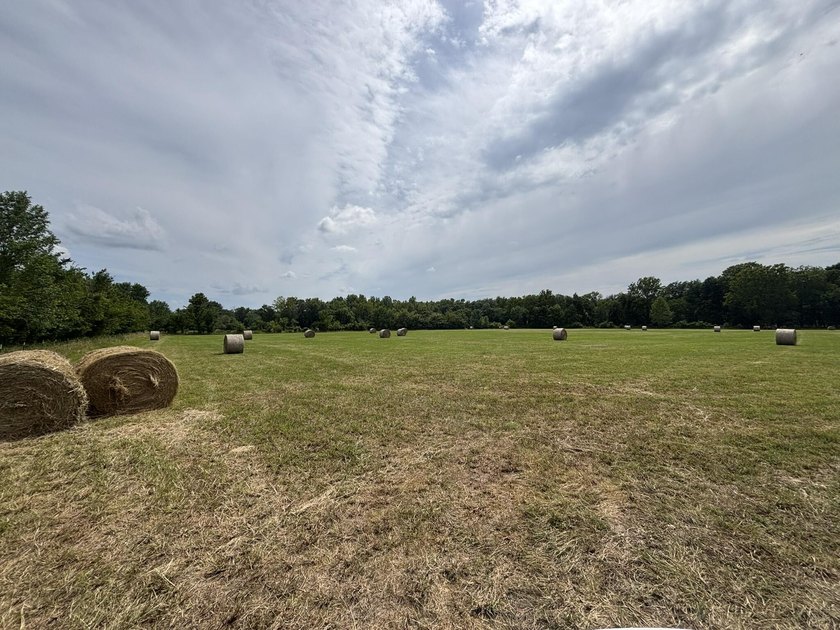 20 Acres at Shoal Creek and Spring River confluence! - photo 13