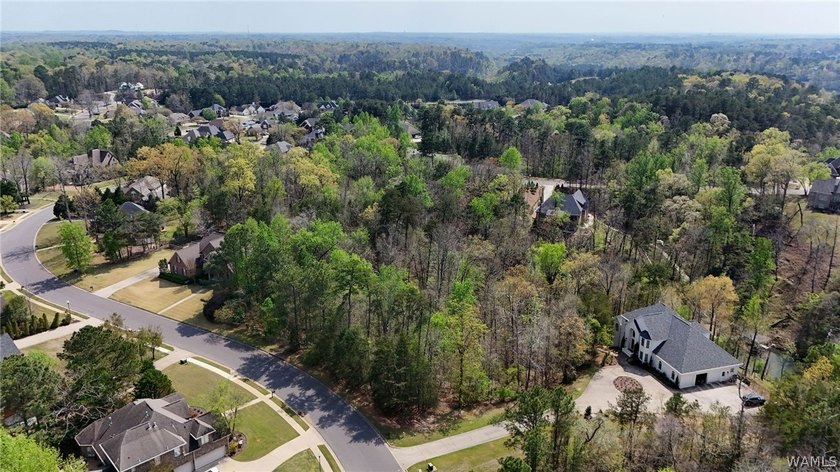 Build your dream home on Lake Tuscaloosa in the desirable Lake - photo 12