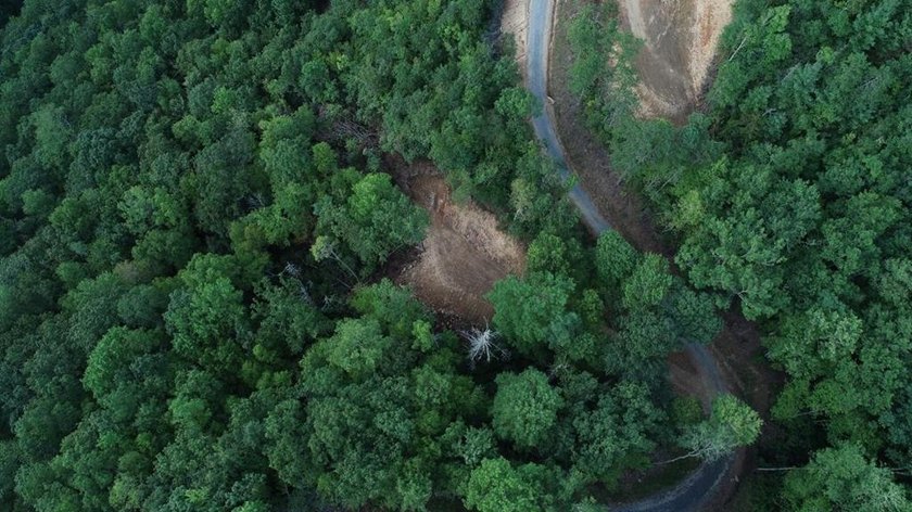Here's your chance to own 5.84 wooded acres in the gated - photo 5
