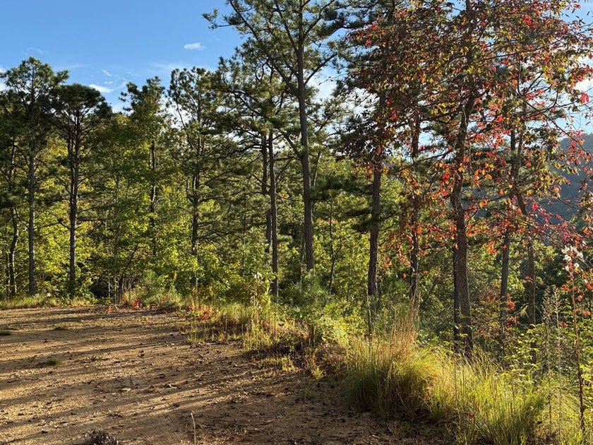 4.37 acres in the exclusive gated mountain community of Cardinal - photo 4