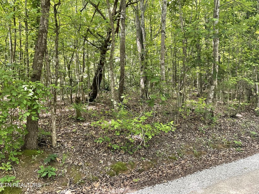 Two lots approximately 1 acre. Wooded with lake access to public - photo 2