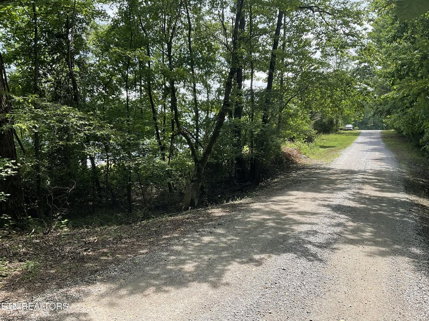Two lots approximately 1 acre. Wooded with lake access to public - photo 8