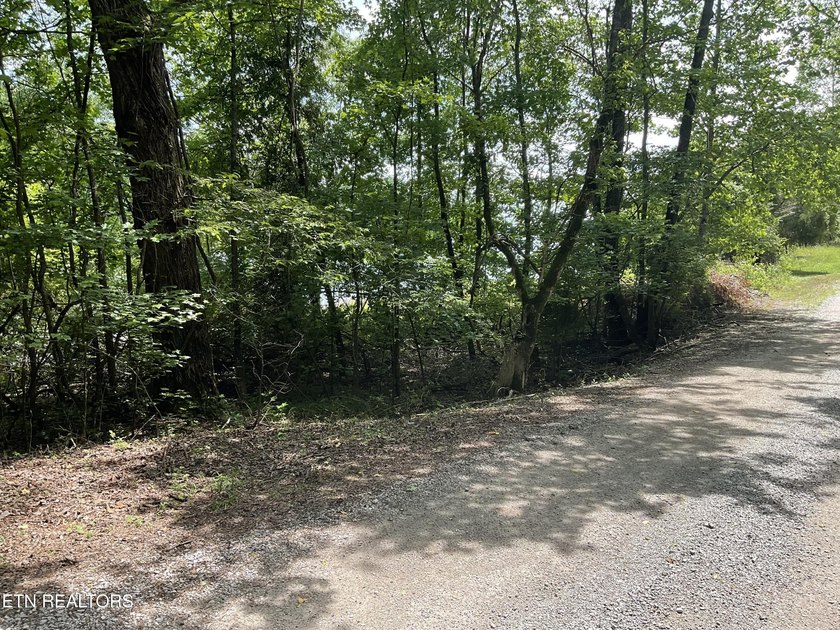 Two lots approximately 1 acre. Wooded with lake access to public - photo 9