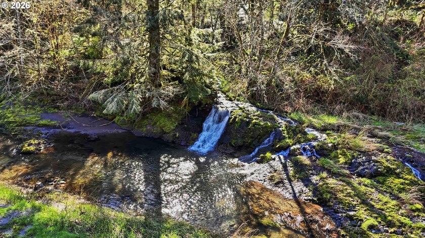 Exceptional Kalama River estate on 2.76 private acres with - photo 41