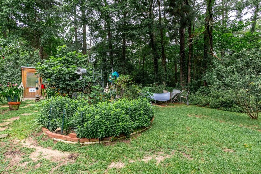 Amazing and well-kept Northfork Estates 4BR 3.5BTH brick home - photo 41