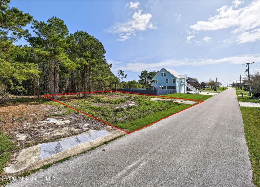 Don't miss this incredible opportunity to own a lot in the heart - photo 2