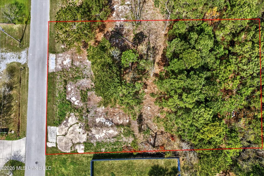 Don't miss this incredible opportunity to own a lot in the heart - photo 10