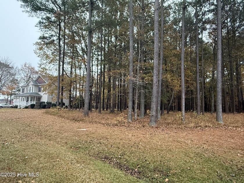 Nice oversized building home site ready for your custom built - photo 3