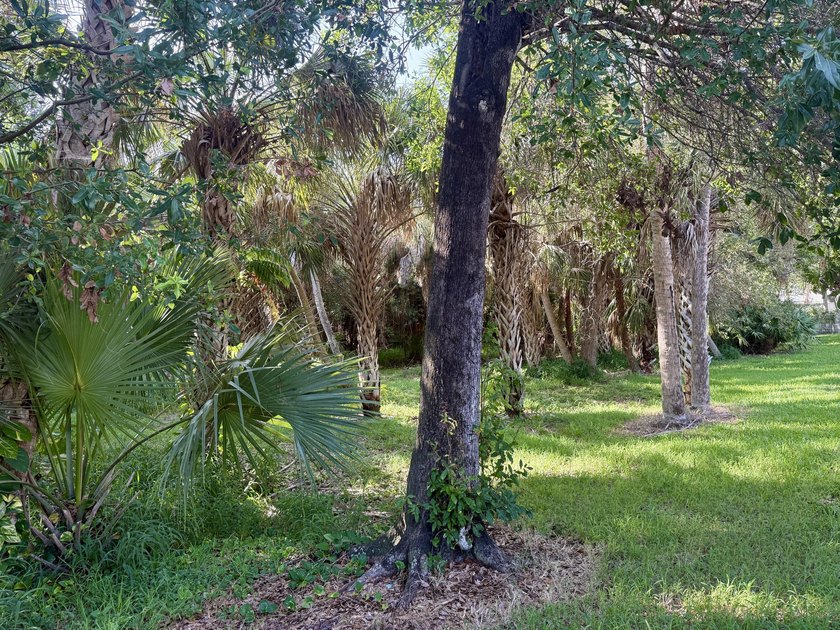 Welcome to this well-appointed, Divosta built, 3-bedroom - photo 7