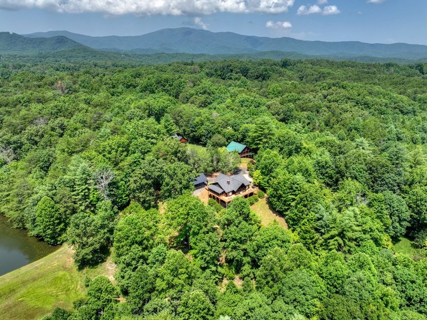 THE PINNACLE OF NORTH GEORGIA MOUNTAIN LIVING - Fall in love - photo 15