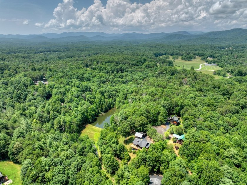 THE PINNACLE OF NORTH GEORGIA MOUNTAIN LIVING - Fall in love - photo 17