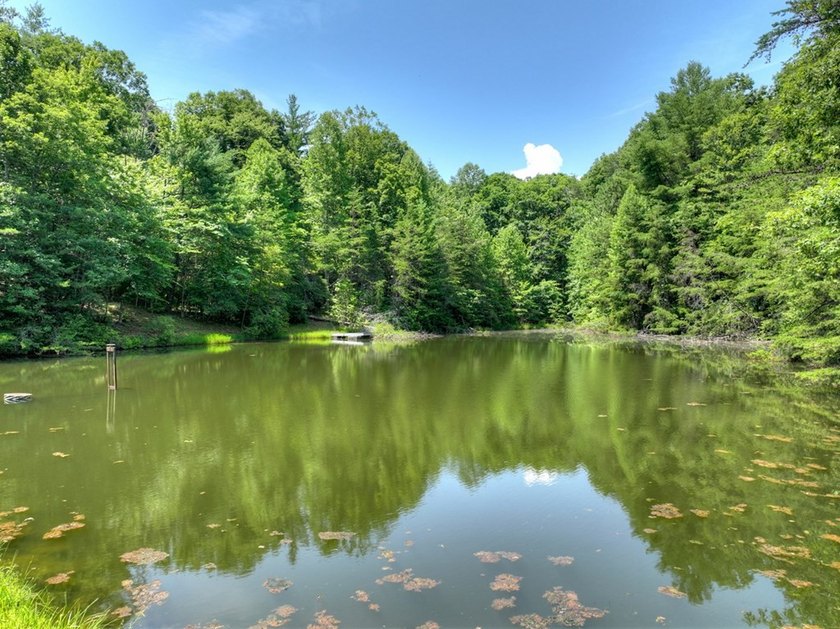 THE PINNACLE OF NORTH GEORGIA MOUNTAIN LIVING - Fall in love - photo 20