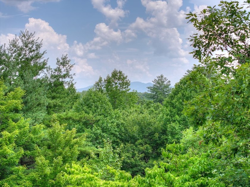 THE PINNACLE OF NORTH GEORGIA MOUNTAIN LIVING - Fall in love - photo 23