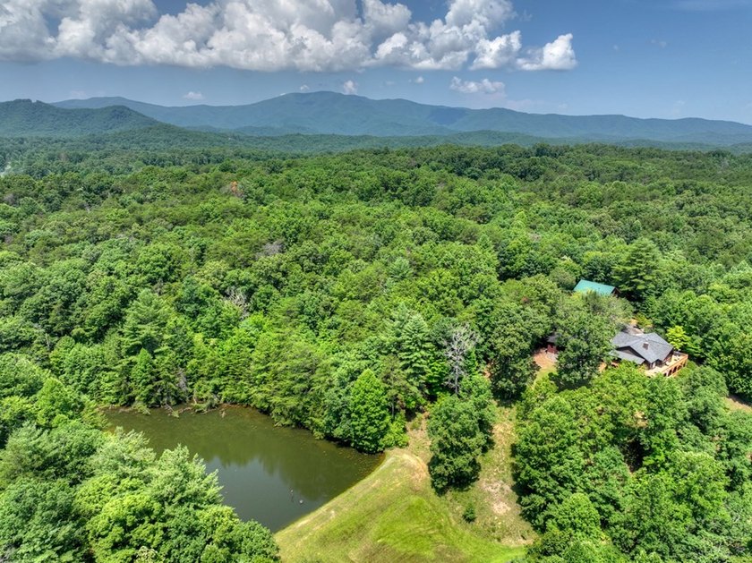 THE PINNACLE OF NORTH GEORGIA MOUNTAIN LIVING - Fall in love - photo 25
