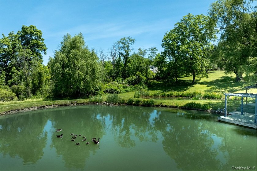 Set on 5.85 private acres just under 90 minutes from Manhattan - photo 28