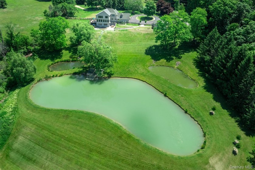 Set on 5.85 private acres just under 90 minutes from Manhattan - photo 32