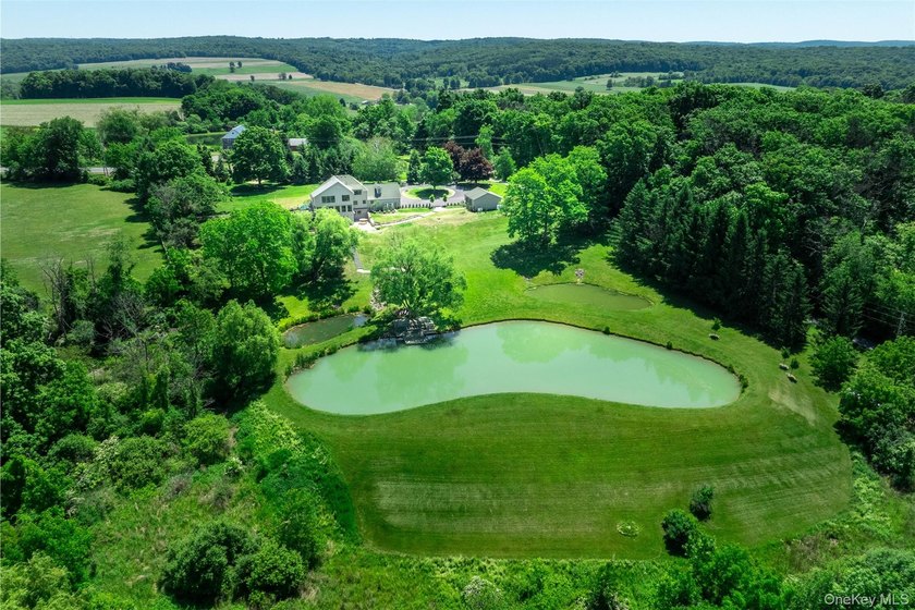 Set on 5.85 private acres just under 90 minutes from Manhattan - photo 33