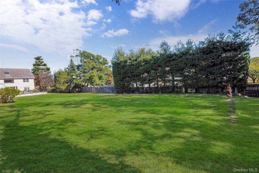 Experience luxury living in this sprawling custom Center Hall - photo 11