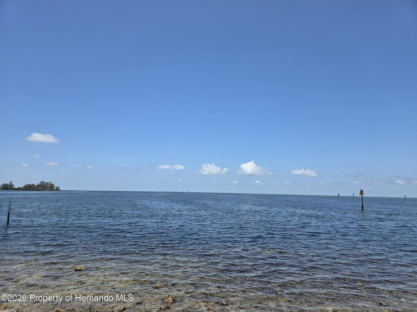 Cash buyers, take a look at this one!! MOVE IN READY!! High and - photo 21