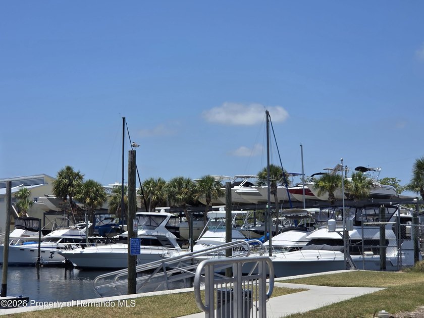 Cash buyers, take a look at this one!! MOVE IN READY!! High and - photo 23